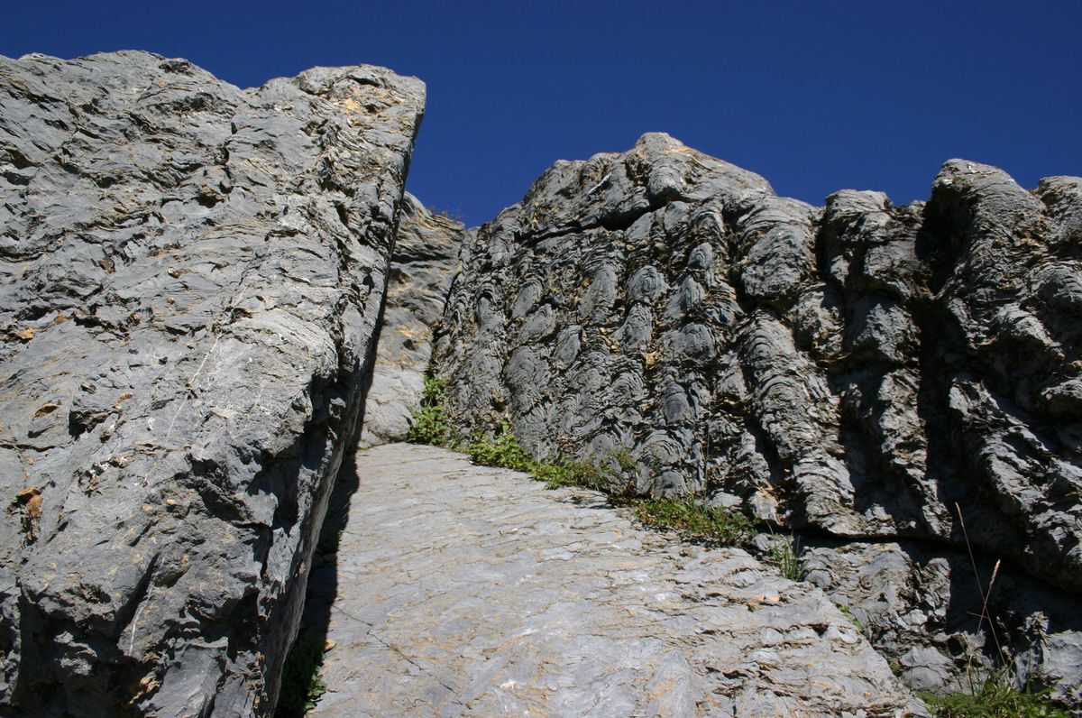 Hidden-Stromatolite-Pools-In-Montana8217s-Glacier-National-Park hidden-stromatolite-pools-in-montanas-glacier-national-park