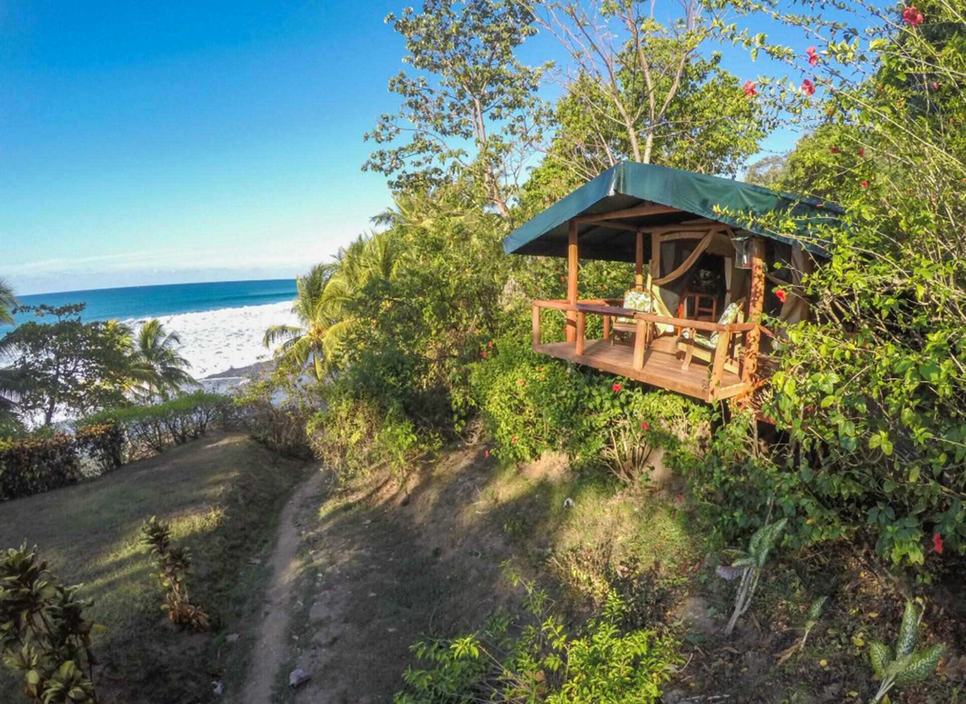 hidden-trails-of-corcovado-costa-rica