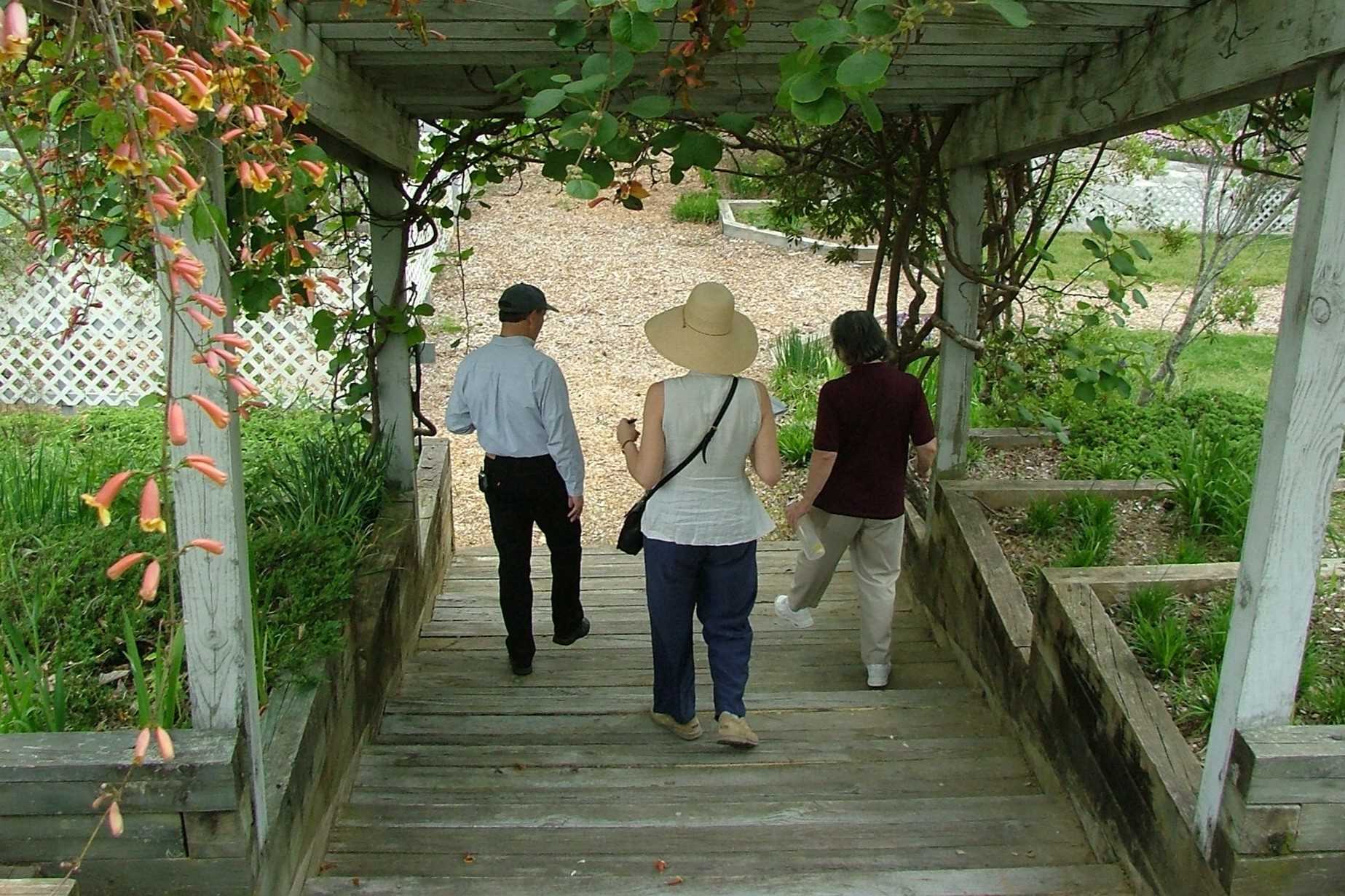 Hidden-Wild-Grape-Arbors-Of-The-Southeast hidden-wild-grape-arbors-of-the-southeast