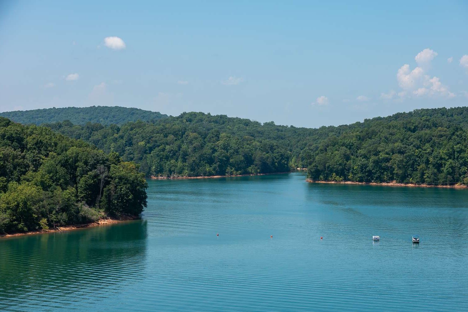 Hidden-Wild-Hickory-Nut-Groves-Of-Tennessee8217s-Land-Between-The-Lakes hidden-wild-hickory-nut-groves-of-tennessees-land-between-the-lakes