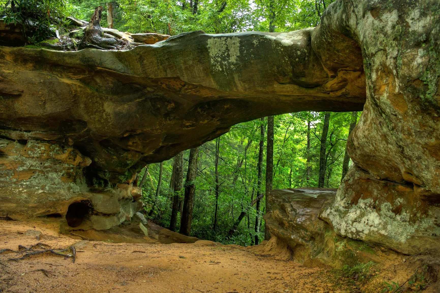 Hidden-Wild-Ramps-Of-Kentucky8217s-Daniel-Boone-Forest hidden-wild-ramps-of-kentuckys-daniel-boone-forest
