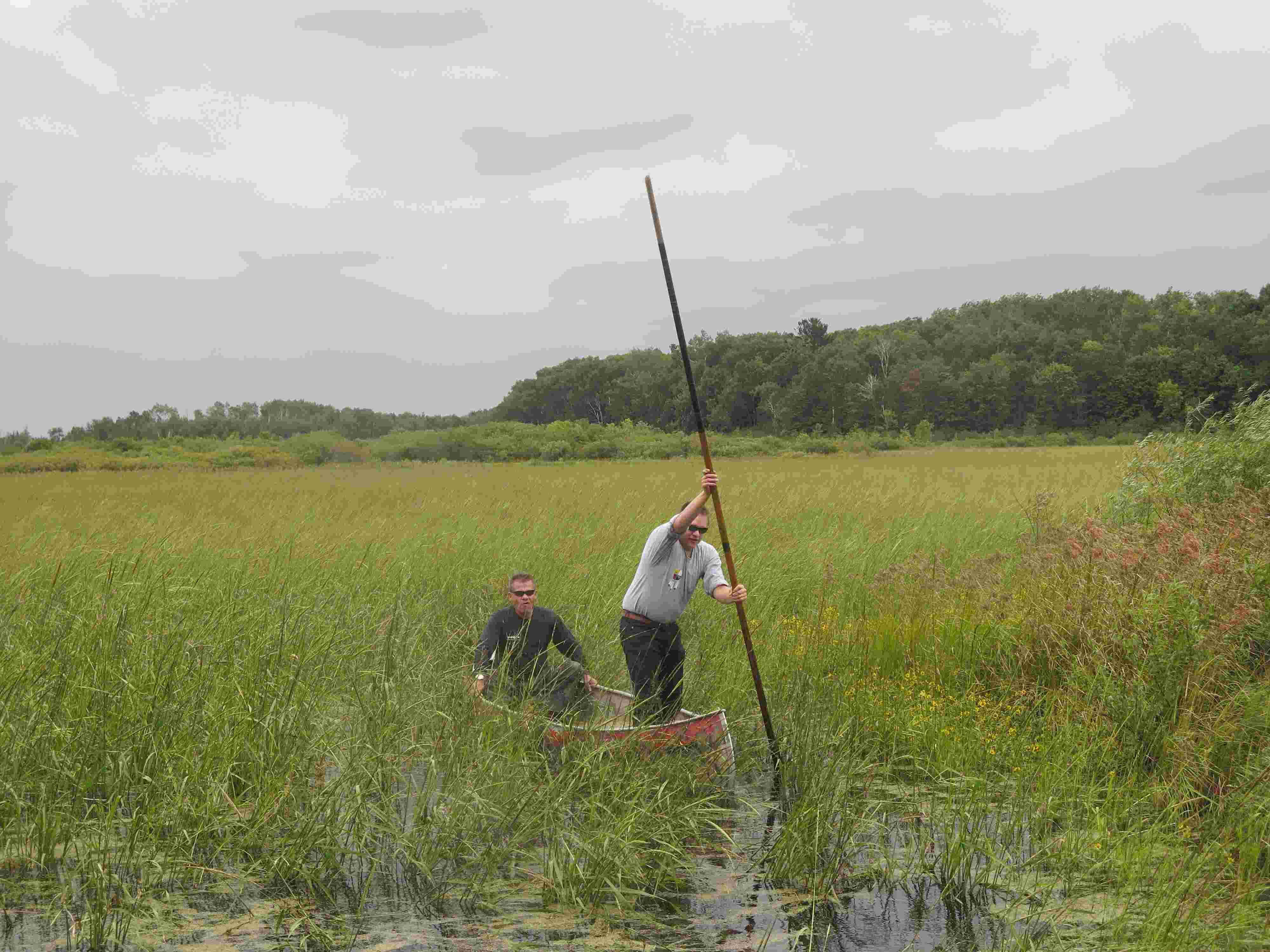 Hidden-Wild-Rice-Harvesting-Spots-In-Michigan8217s-Upper-Peninsula hidden-wild-rice-harvesting-spots-in-michigans-upper-peninsula
