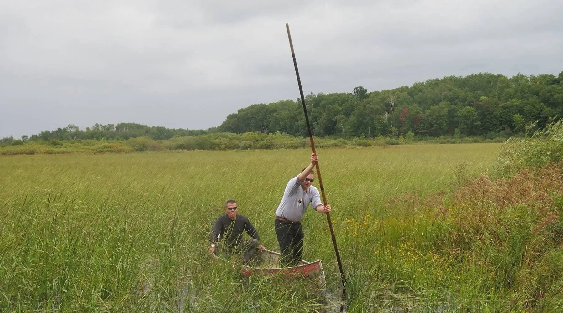 Hidden-Wild-Rice-Harvesting-Spots-In-Minnesota8217s-Boundary-Waters hidden-wild-rice-harvesting-spots-in-minnesotas-boundary-waters