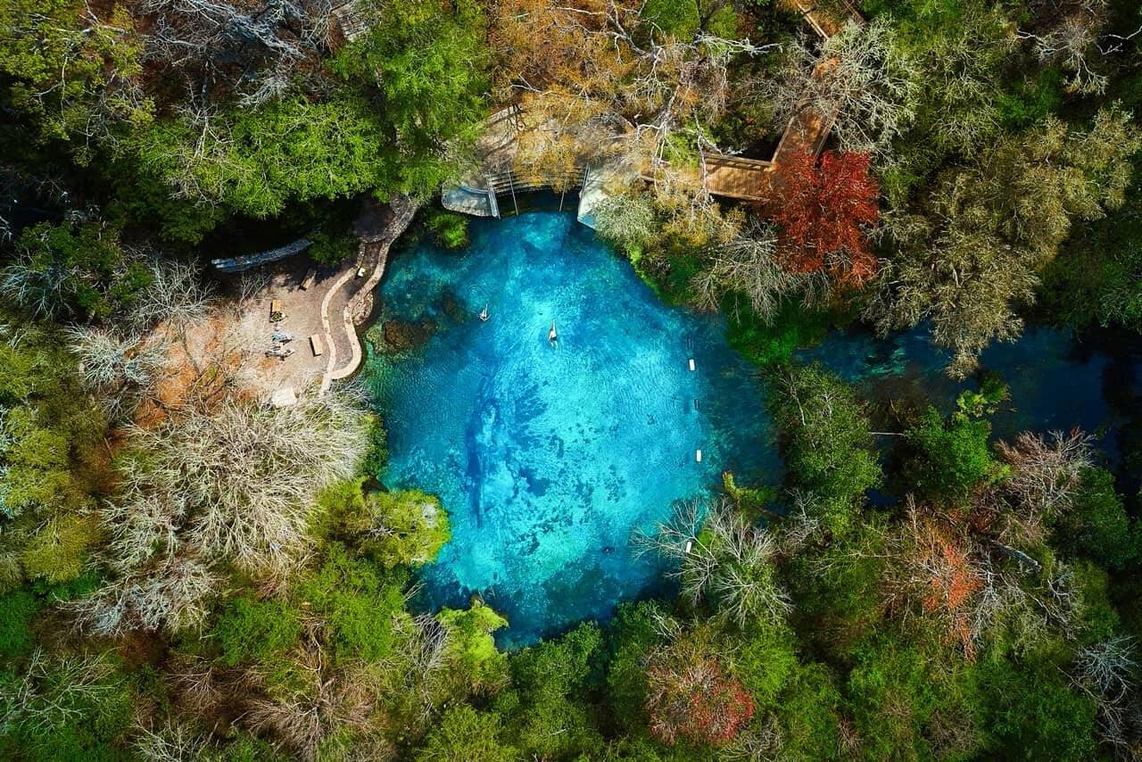 hidden-wild-watercress-springs-of-floridas-ichetucknee-springs-state-park