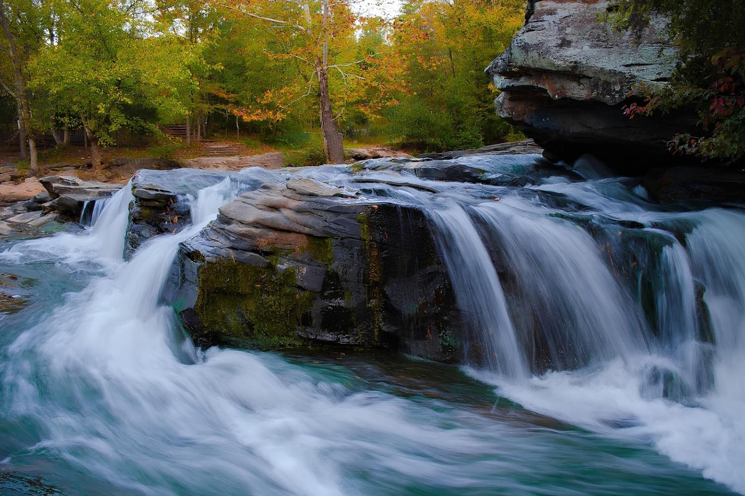 hidden-wonders-of-turkey-creek-nature-preserve