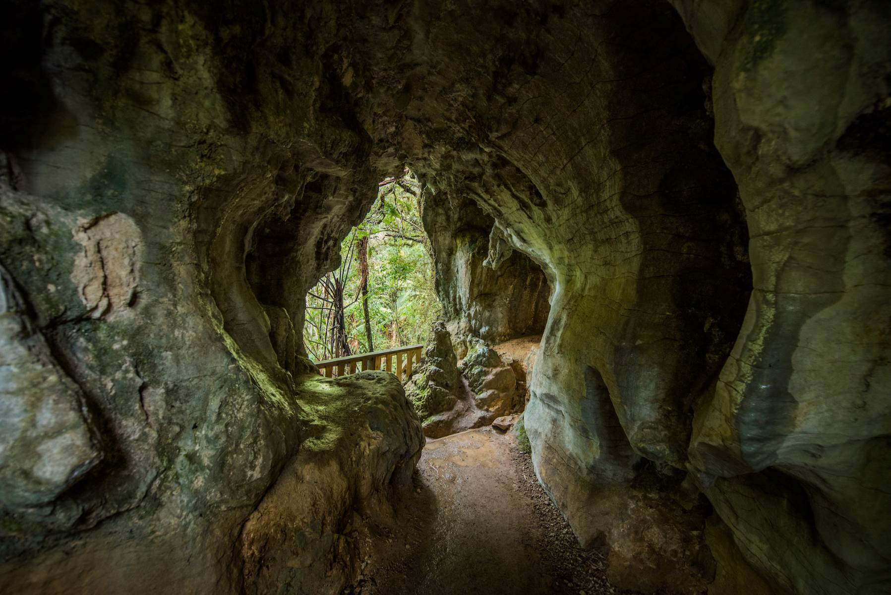 Hidden-Wonders-Of-Waitomo-Ruakuri-Cave-Walk hidden-wonders-of-waitomo-ruakuri-cave-walk