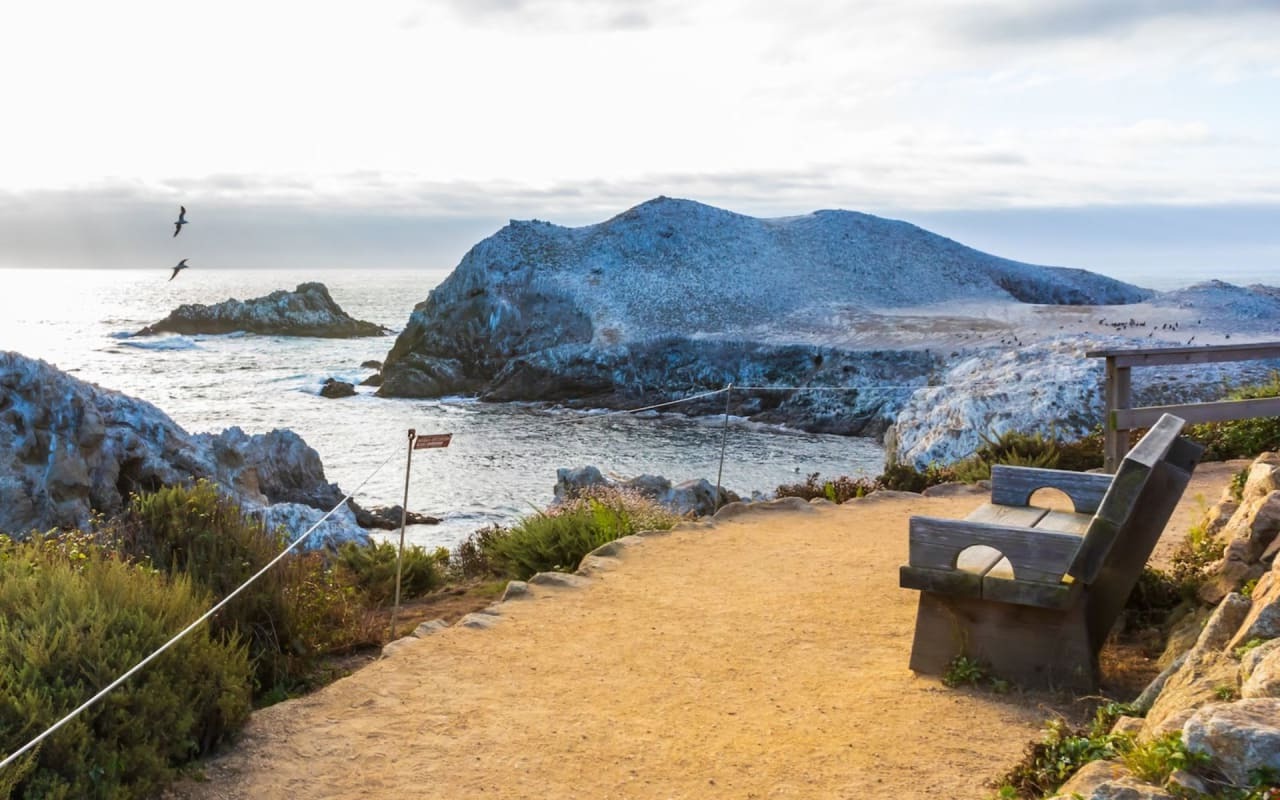 hike-the-scenic-beauty-of-hatton-canyons-carmel-river-trail