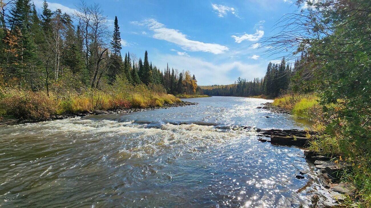 Hike-The-Scenic-Wonders-Of-Portage-Creek-Trail hike-the-scenic-wonders-of-portage-creek-trail