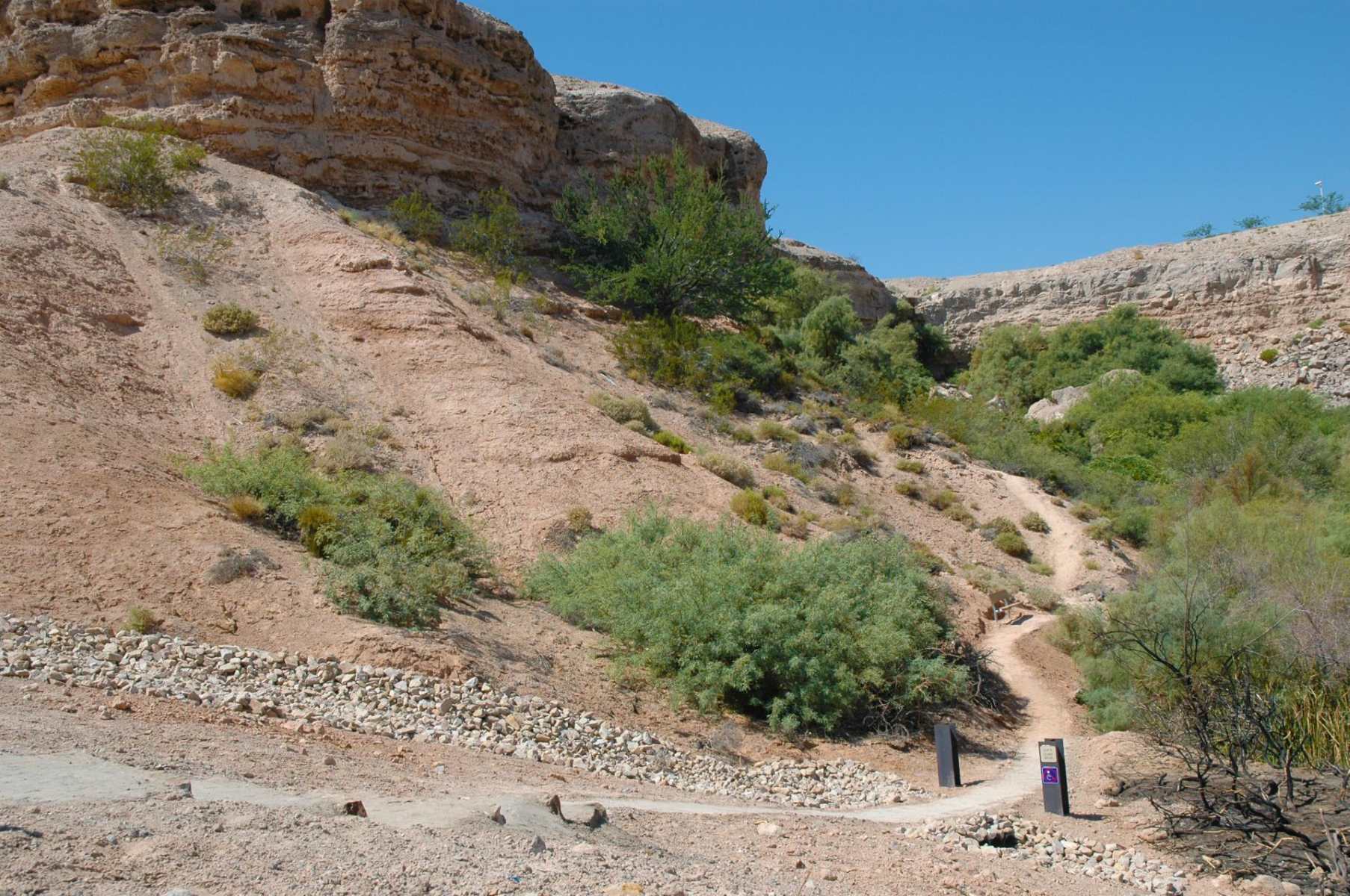hike-the-stunning-trails-of-whitney-mesa-nature-preserve