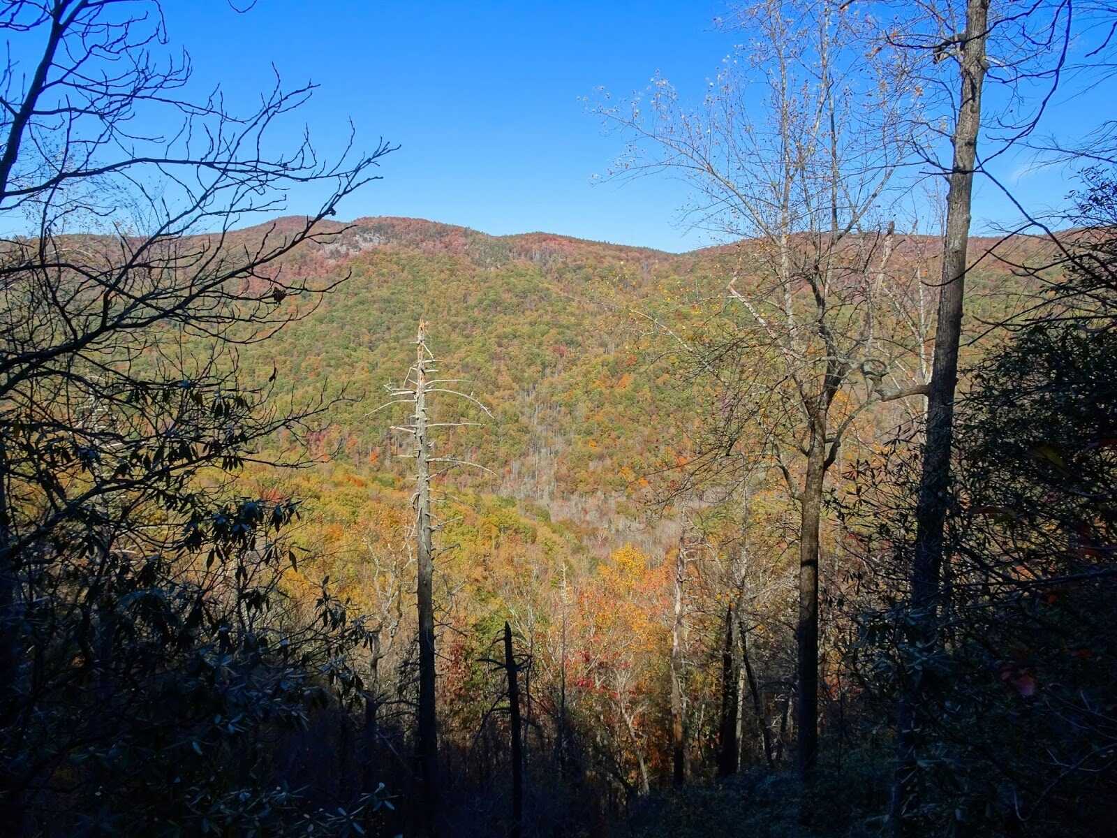 hike-the-thrilling-frank-coggins-trail-at-caesars-head
