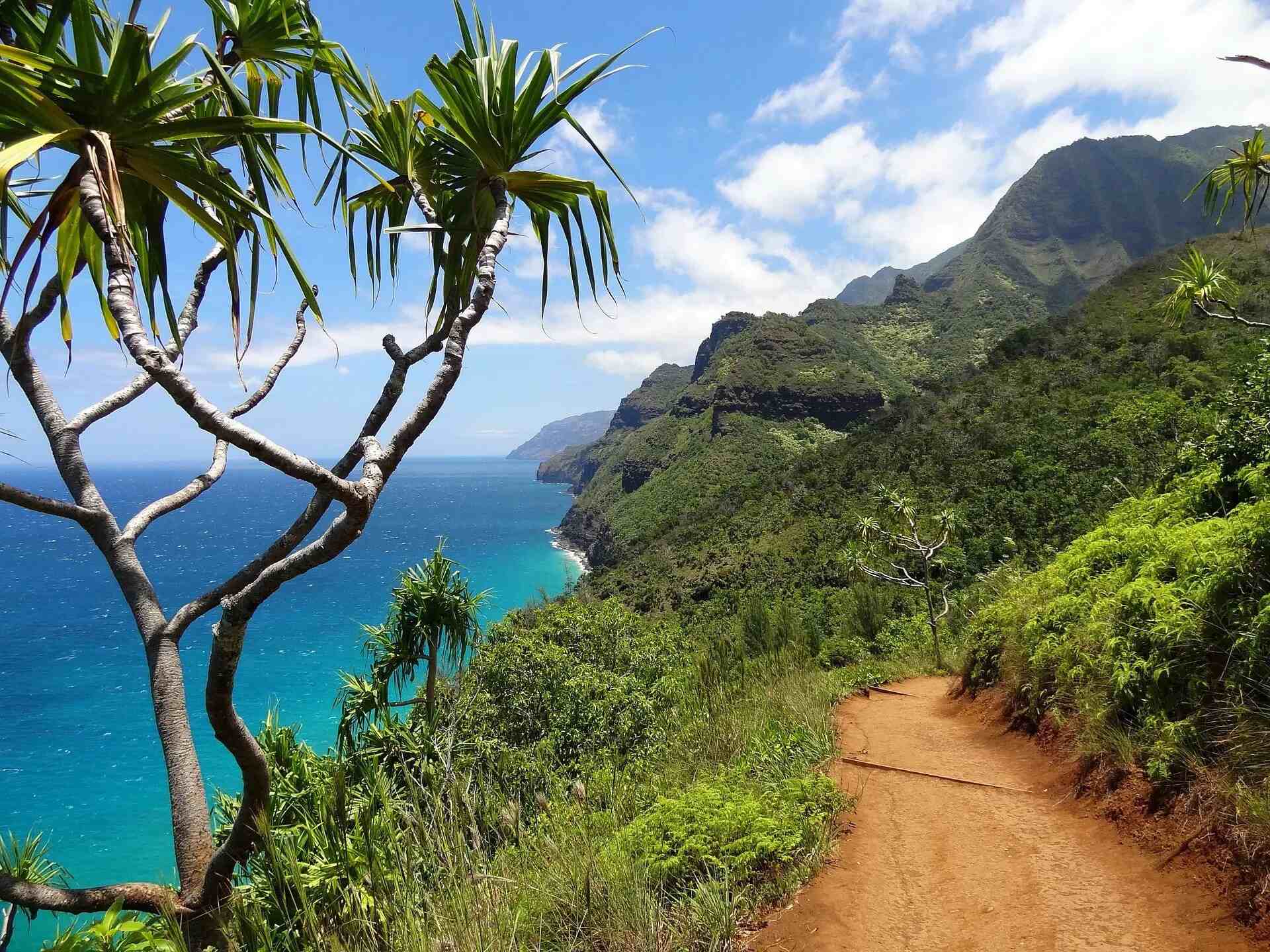Hiking-The-Hidden-Trails-Of-Kauai hiking-the-hidden-trails-of-kauai