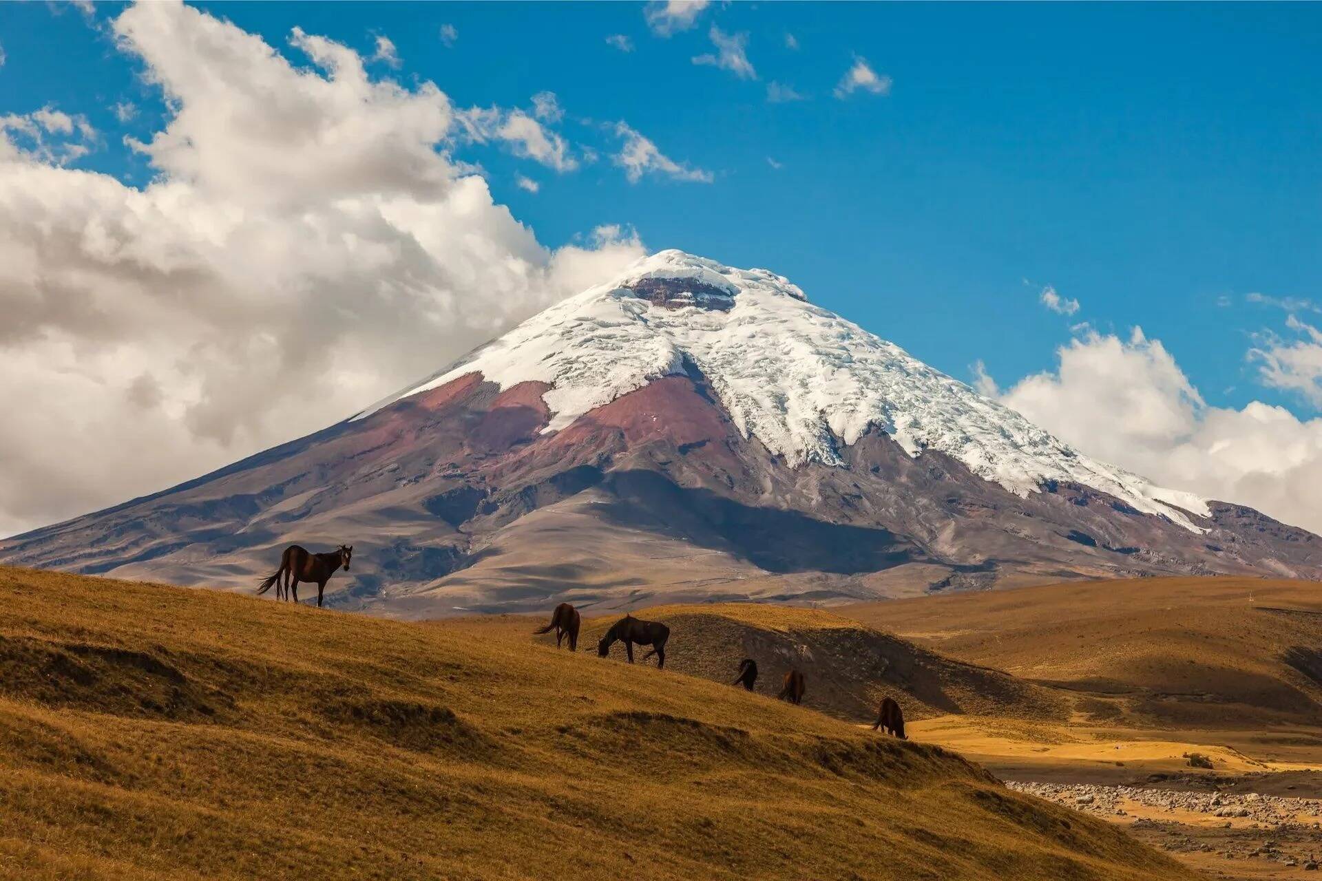 Hiking-The-Wonders-Of-Cotopaxi-Volcano hiking-the-wonders-of-cotopaxi-volcano