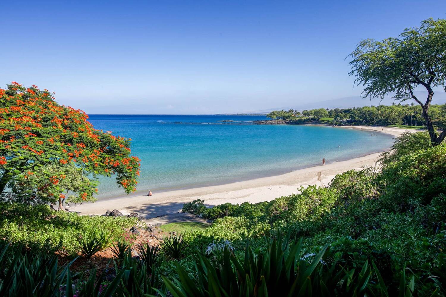 hilo-bays-breathtaking-vistas-on-big-island