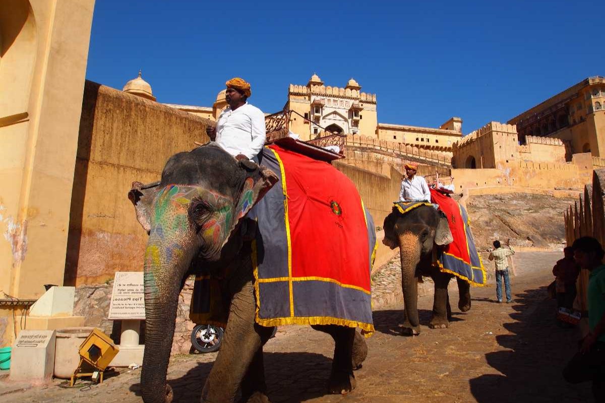 jaipurs-amber-fort-elephant-adventure