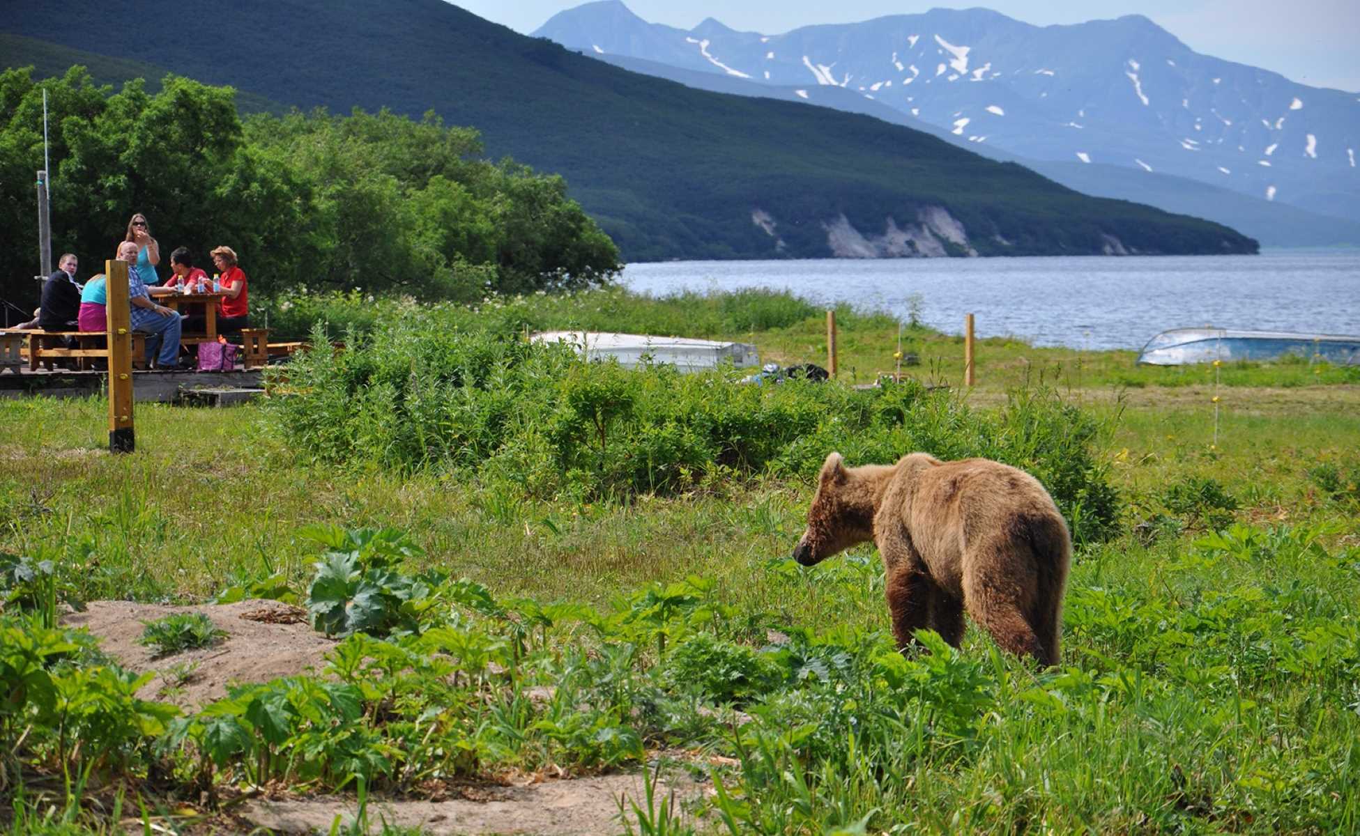 Kamchatka-Russia-Secrets-Of-Kuril-Lake-Bear-Watching kamchatka-russia-secrets-of-kuril-lake-bear-watching