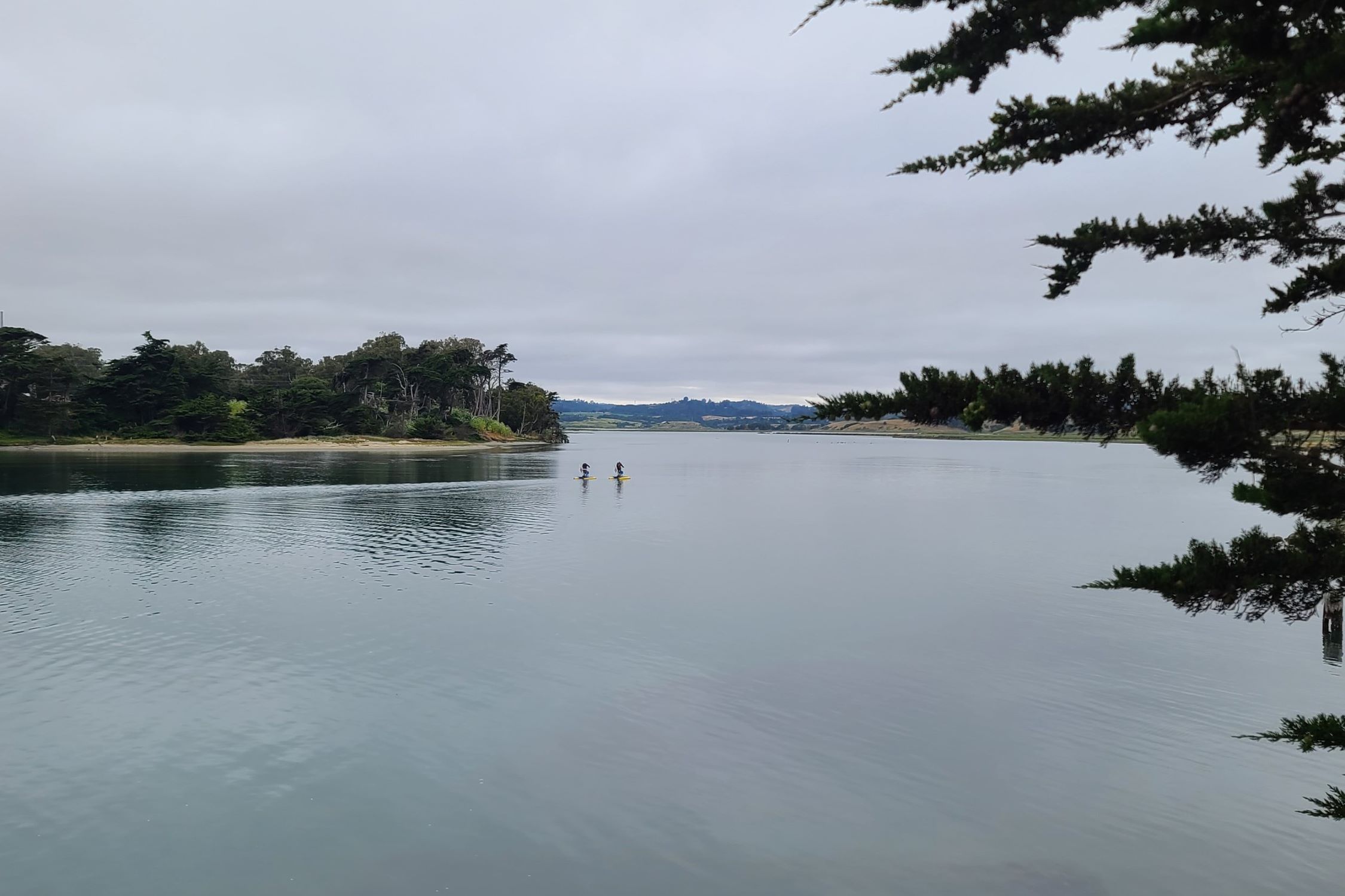 kayak-through-the-wonders-of-elkhorn-slough