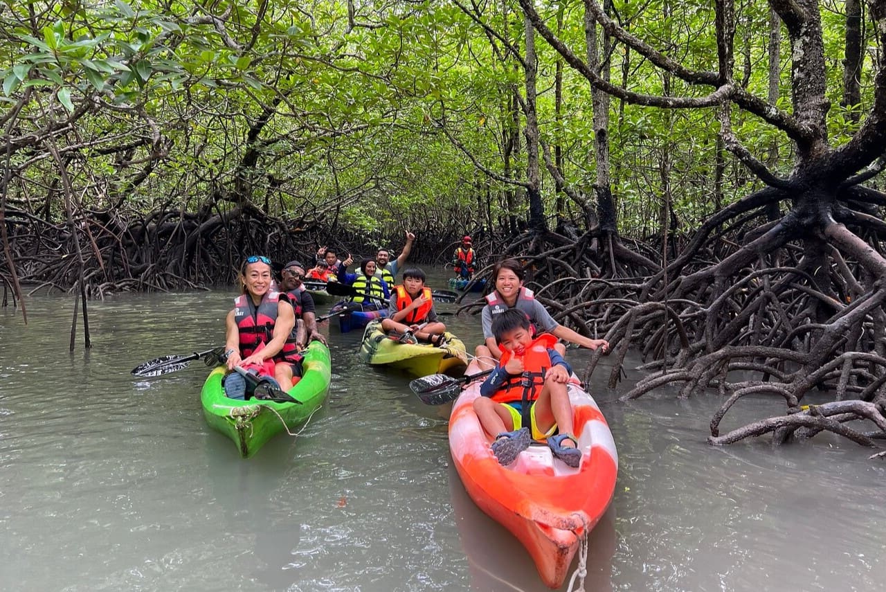 Kayaking-Through-Langkawi8217s-Mysterious-Mangrove-Forest kayaking-through-langkawis-mysterious-mangrove-forest