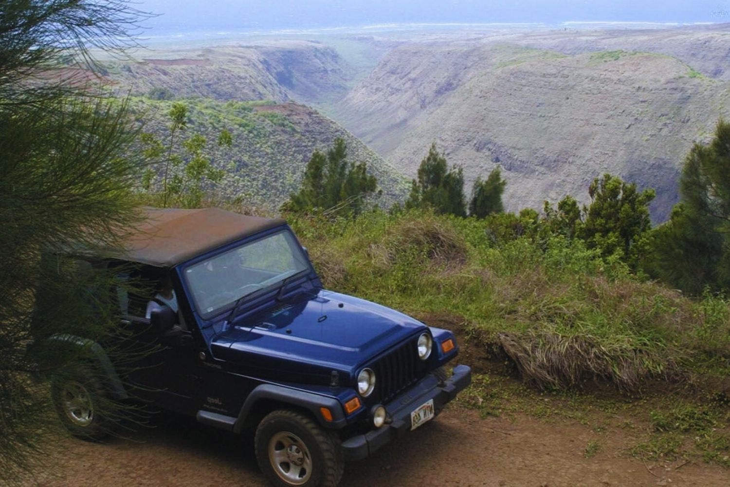 Lanai8217s-Munro-Trail-A-Scenic-Drive-Adventure lanais-munro-trail-a-scenic-drive-adventure