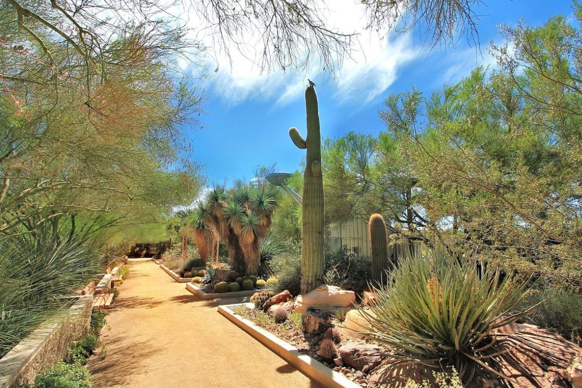 Las-Vegas-Hidden-Gem-Springs-Preserve-Oasis las-vegas-hidden-gem-springs-preserve-oasis