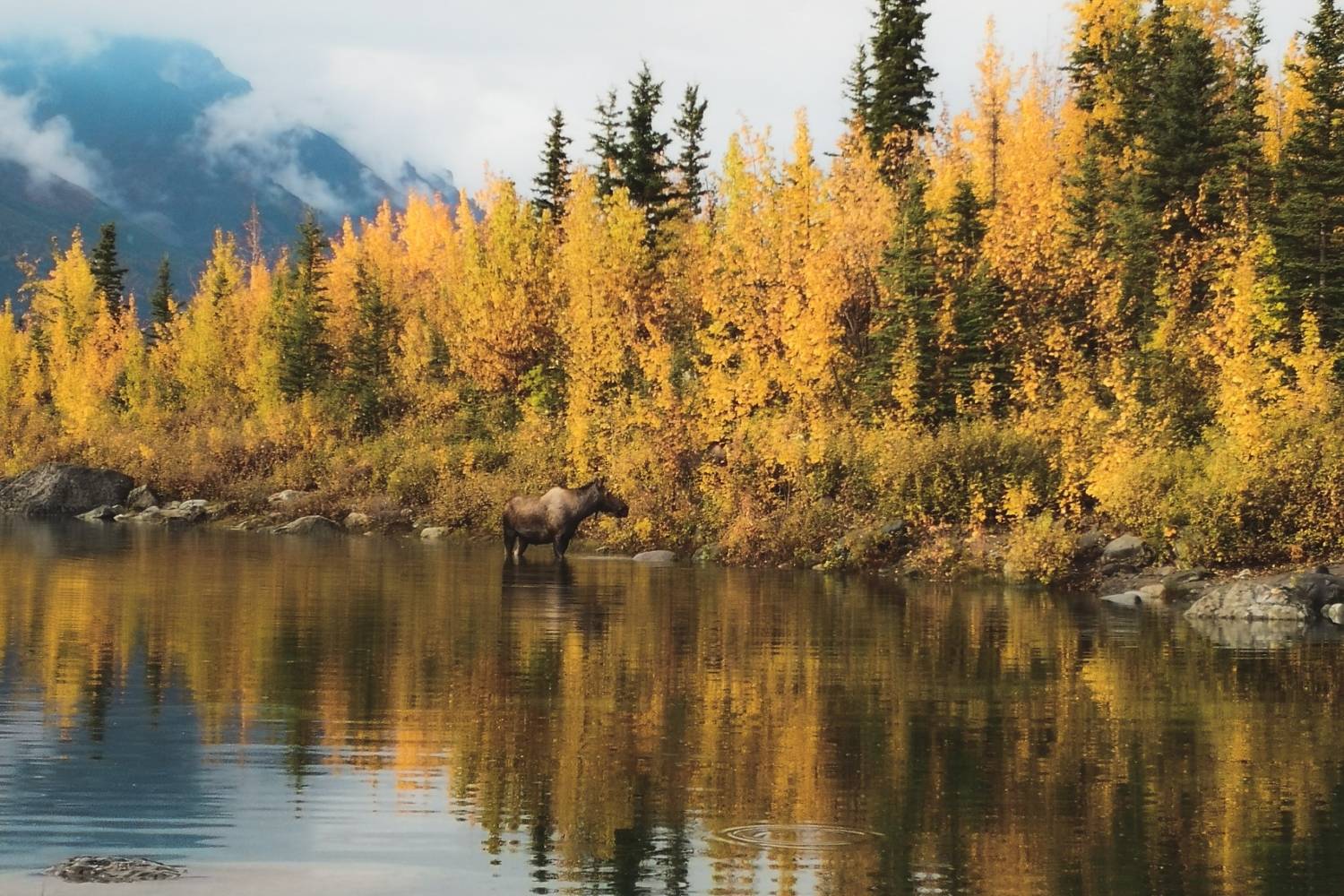 McCarthy-Alaska8217s-Hidden-Wilderness-Gem mccarthy-alaskas-hidden-wilderness-gem