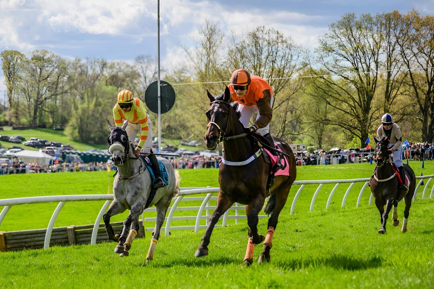 middleburg-horse-country-virginias-hidden-equestrian-gem