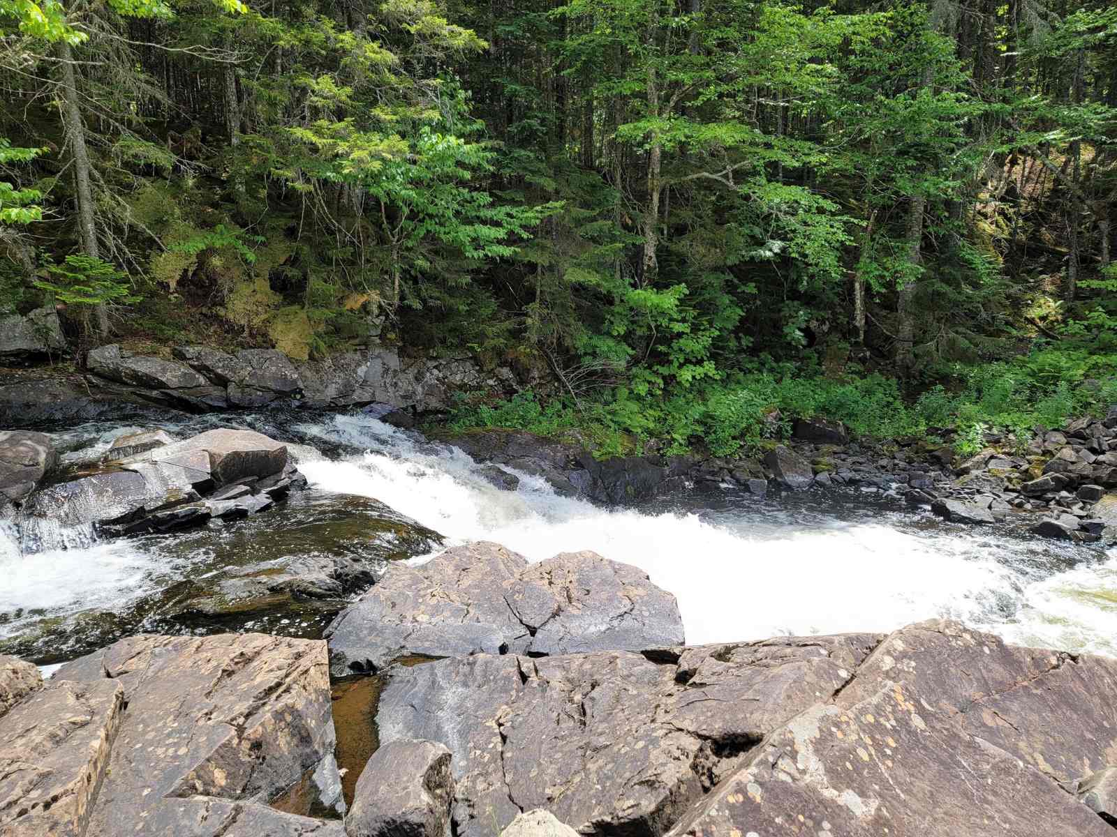 moose-river-trail-adventure-awaits