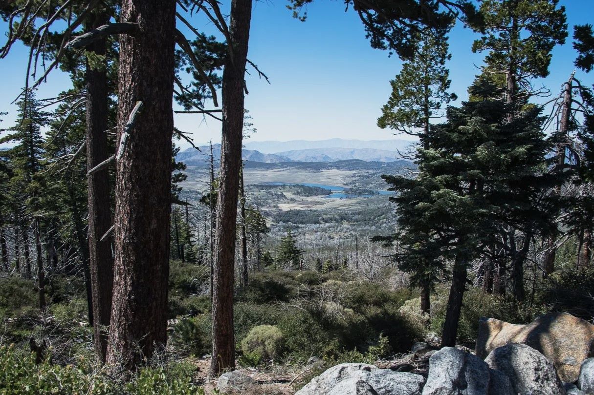 mountain-meadows-magic-at-cuyamaca-rancho-state-park