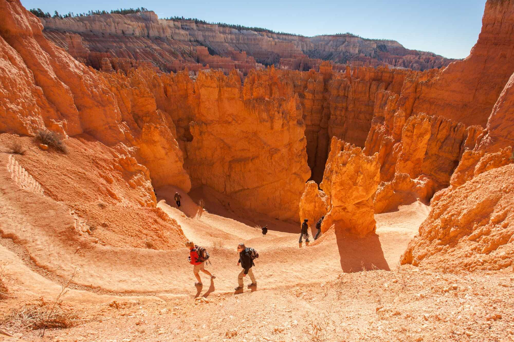 mysteries-of-bryce-canyons-navajo-loop-trail