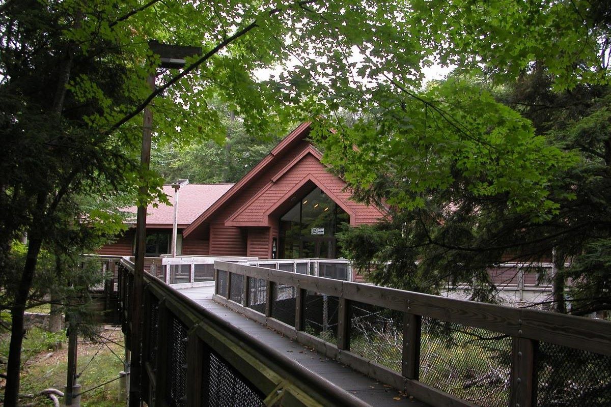 Mysteries-Of-Michigan8217s-Hartwick-Pines-Logging-Camps mysteries-of-michigans-hartwick-pines-logging-camps