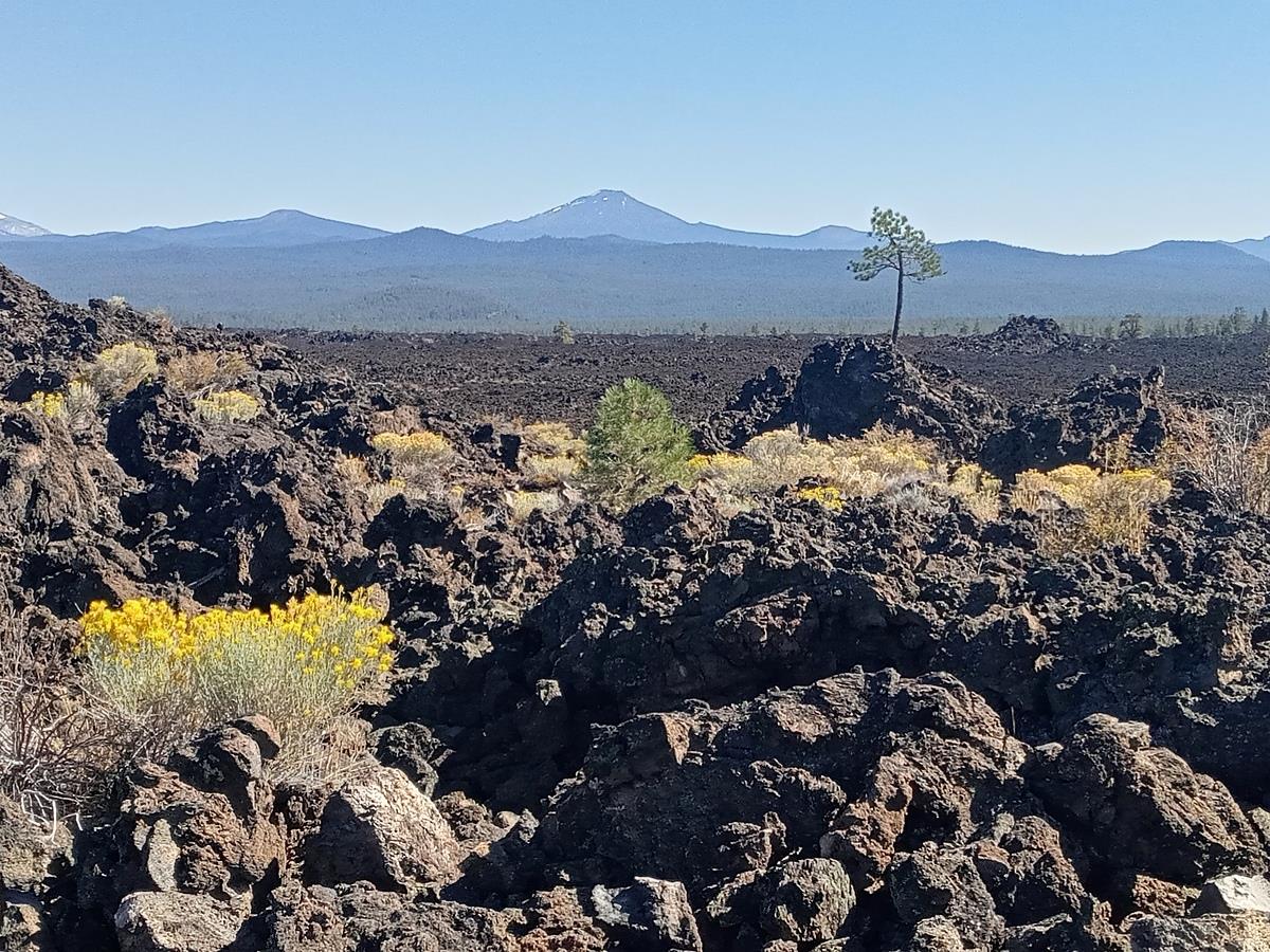 Mysterious-Moss-Covered-Lava-Fields-Of-Oregon8217s-Newberry-Monument mysterious-moss-covered-lava-fields-of-oregons-newberry-monument