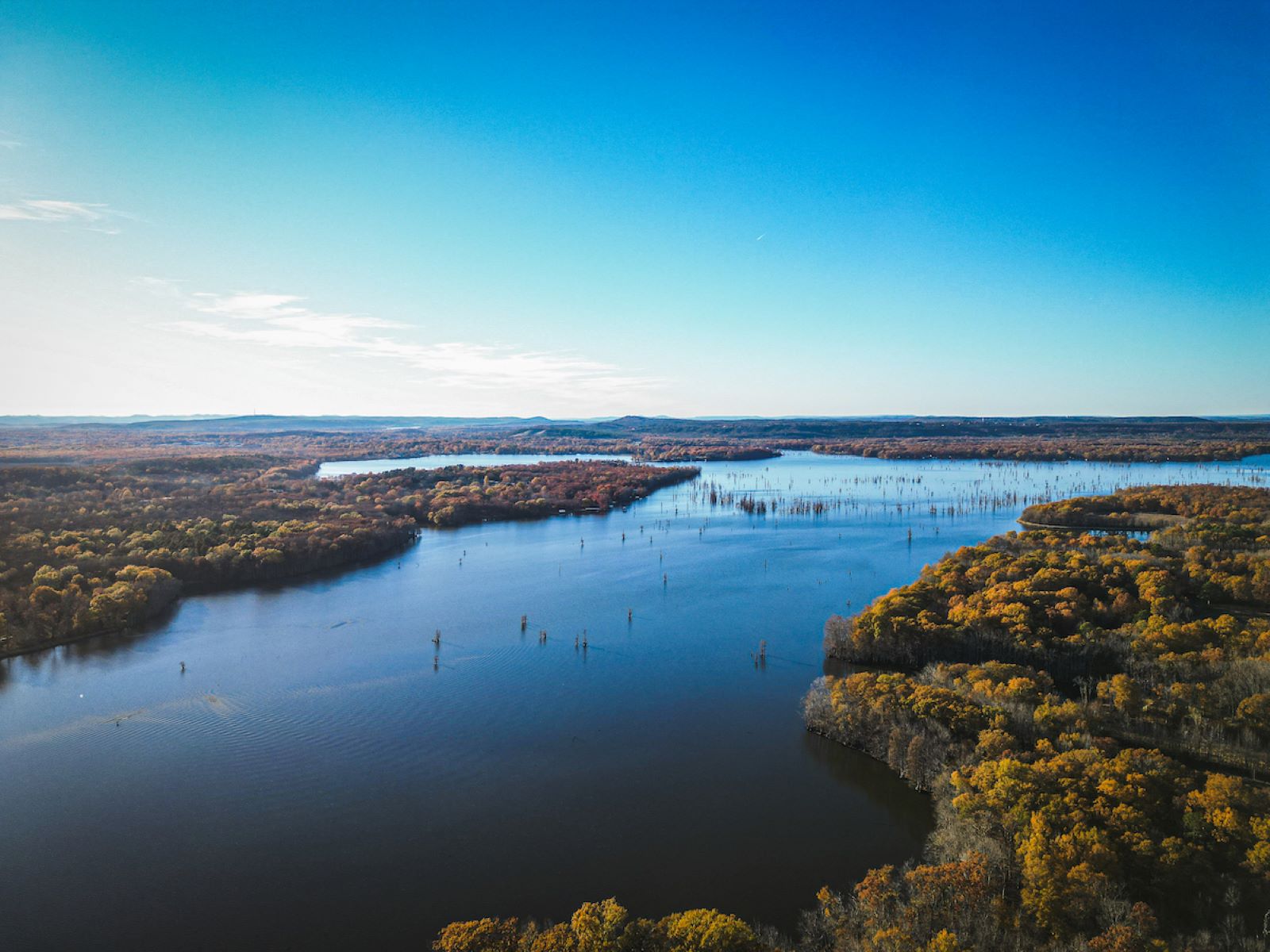 Mystery-Of-Arkansas8217s-Lake-Conway-Floating-Islands mystery-of-arkansass-lake-conway-floating-islands