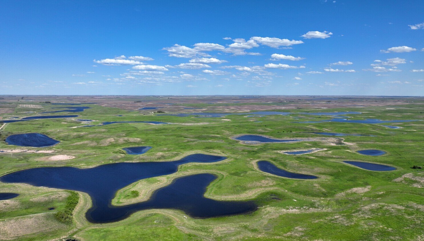 mystery-of-north-dakotas-prairie-potholes