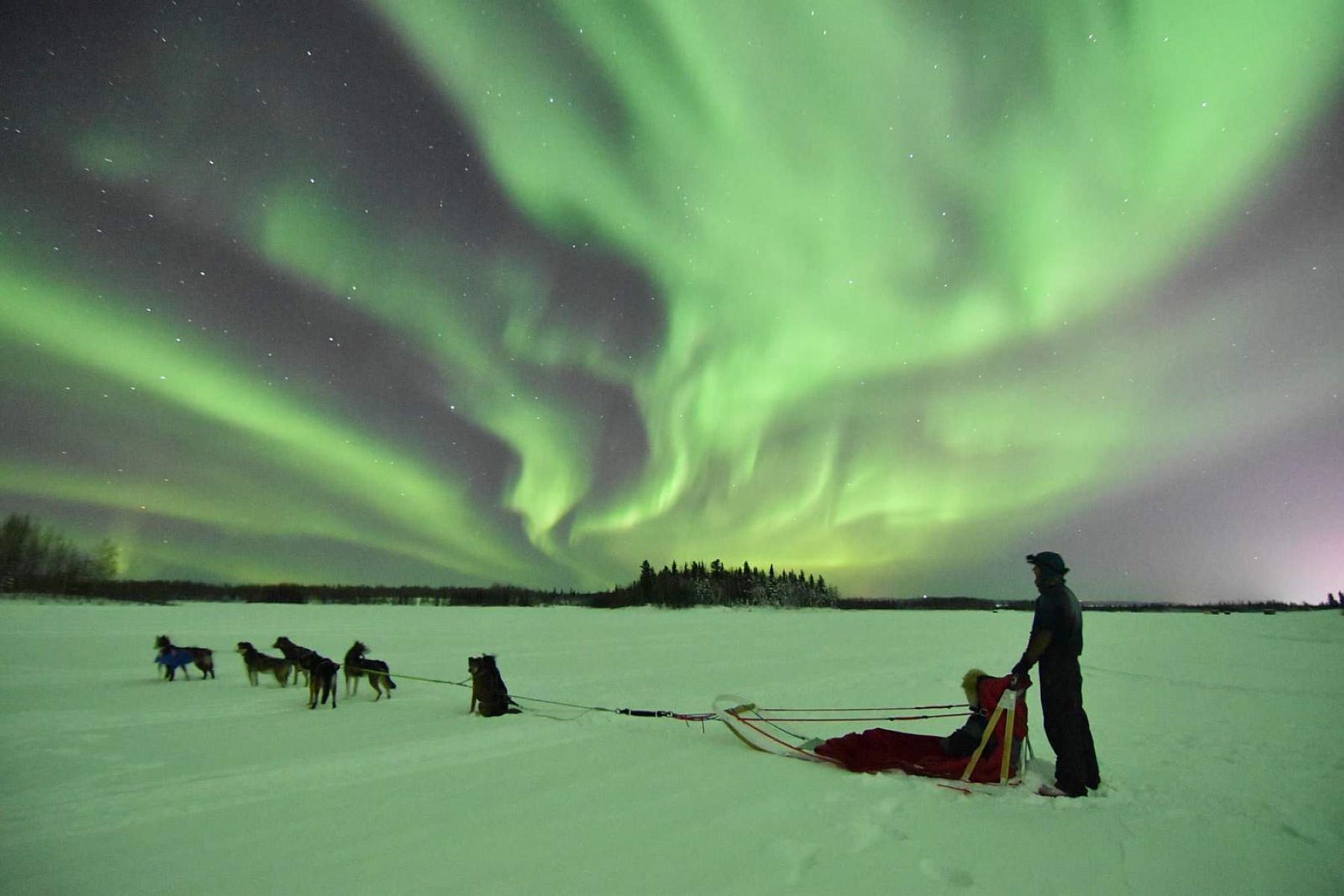 Mystery-Of-Northern-Lights-Dog-Sledding mystery-of-northern-lights-dog-sledding