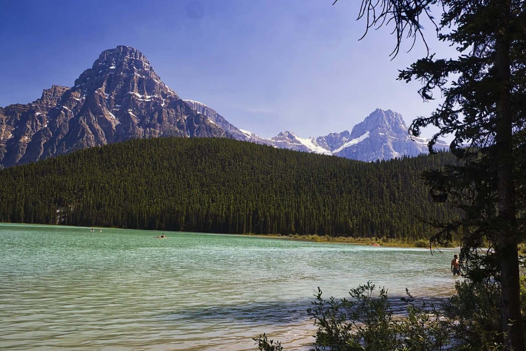 Mystery-Of-The-Wild-Bearberry-Meadows-In-The-Rockies mystery-of-the-wild-bearberry-meadows-in-the-rockies