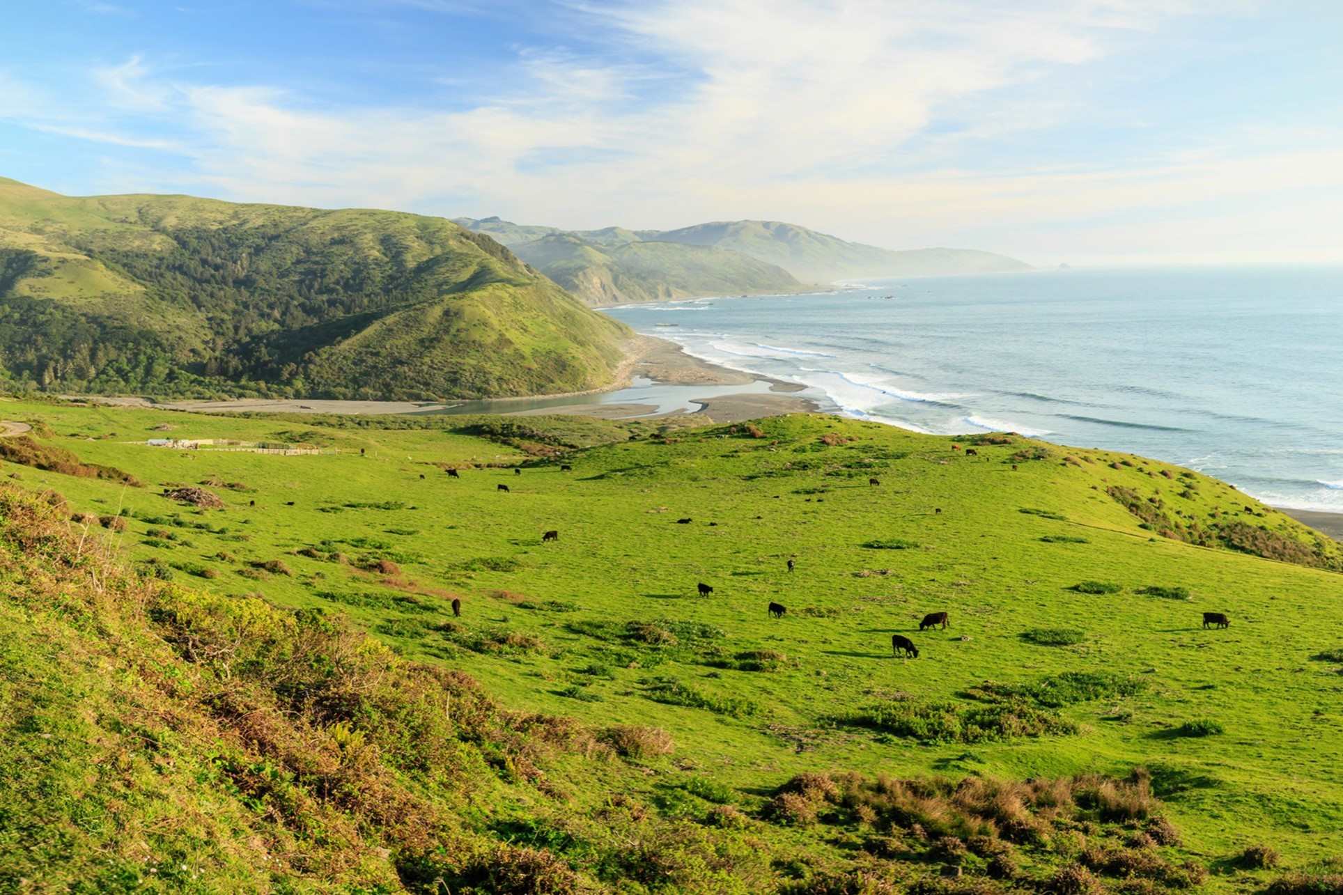 mystery-sea-stacks-of-californias-lost-coast
