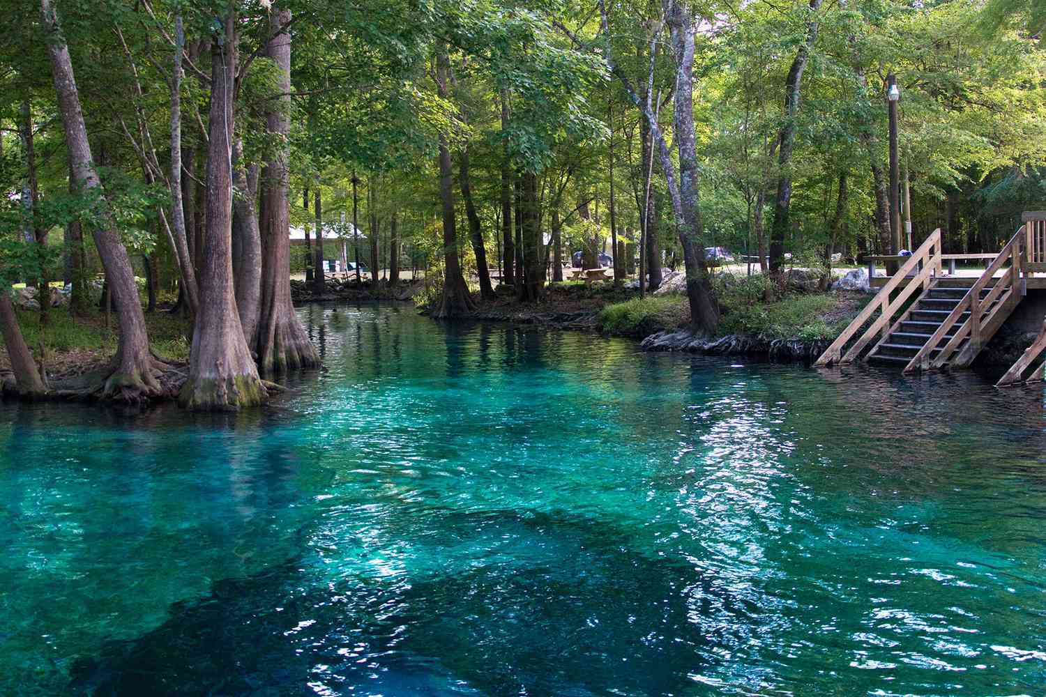 Mystery-Springs-Of-Florida8217s-Panhandle mystery-springs-of-floridas-panhandle