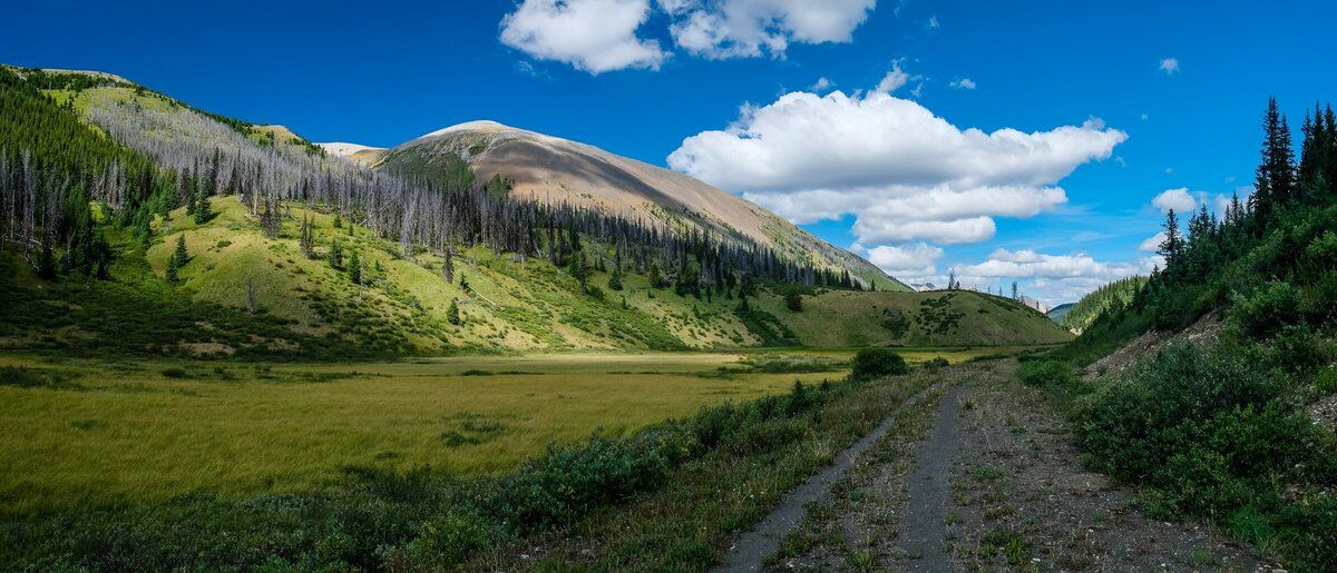 Mystical-Adventures-Await-At-Calling-Panther-Lake mystical-adventures-await-at-calling-panther-lake