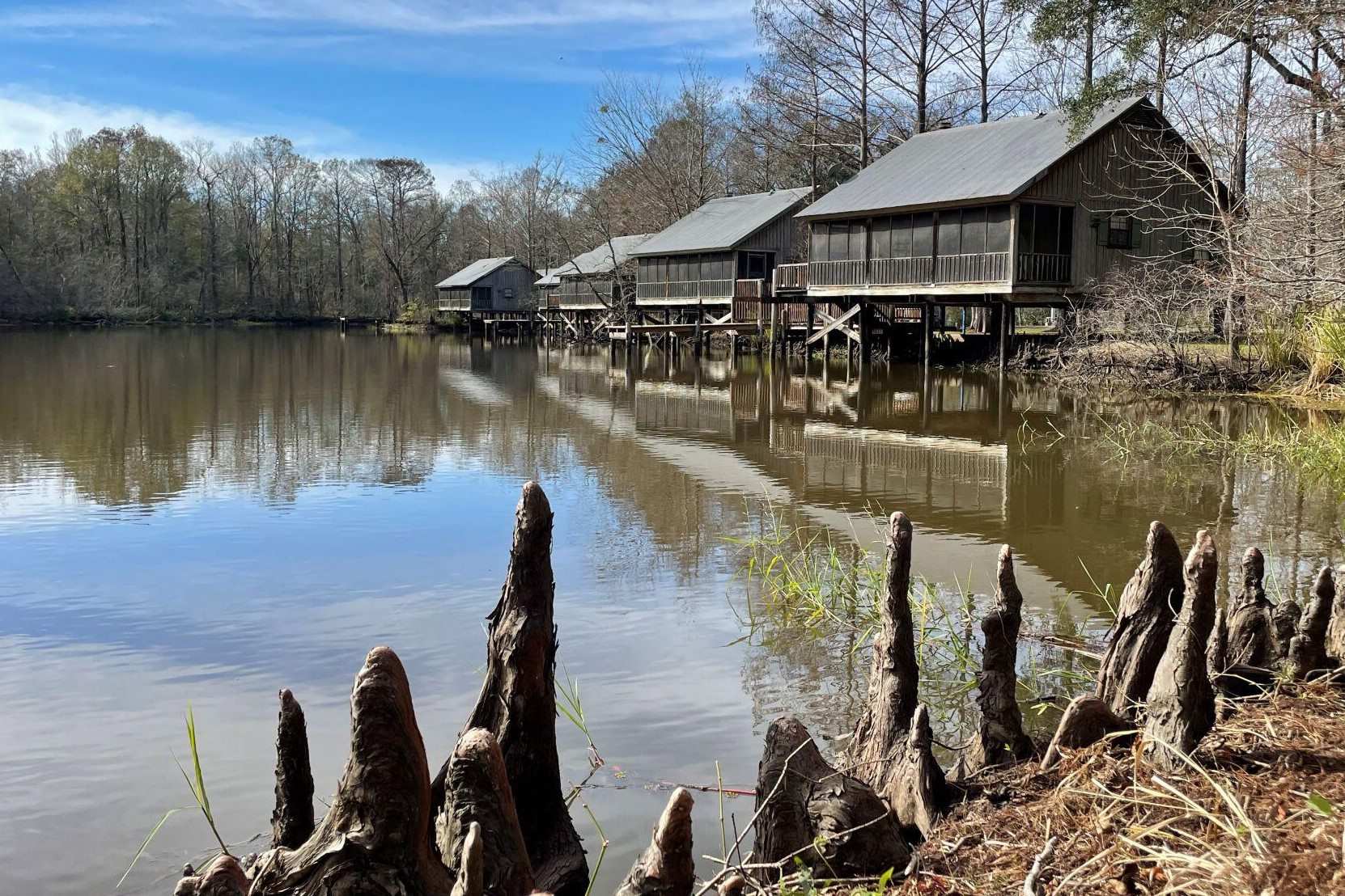 mystical-cypress-swamps-at-lake-fausse-pointe-state-park