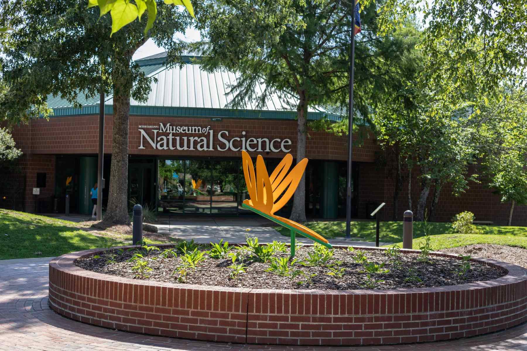 mystical-swamps-await-at-mississippis-natural-science-museum