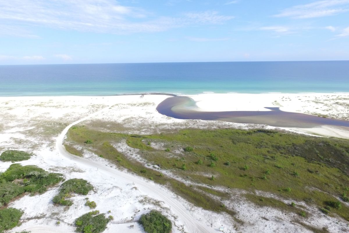 mystical-wonders-of-camp-helens-coastal-dune-lake
