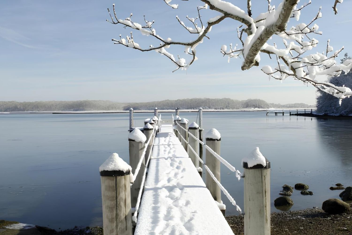 natures-marvels-await-at-dartmouths-lloyd-center