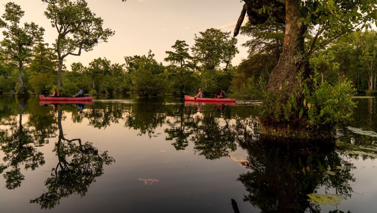 Paddle-Through-Paradise-At-Goose-Creek-State-Park paddle-through-paradise-at-goose-creek-state-park