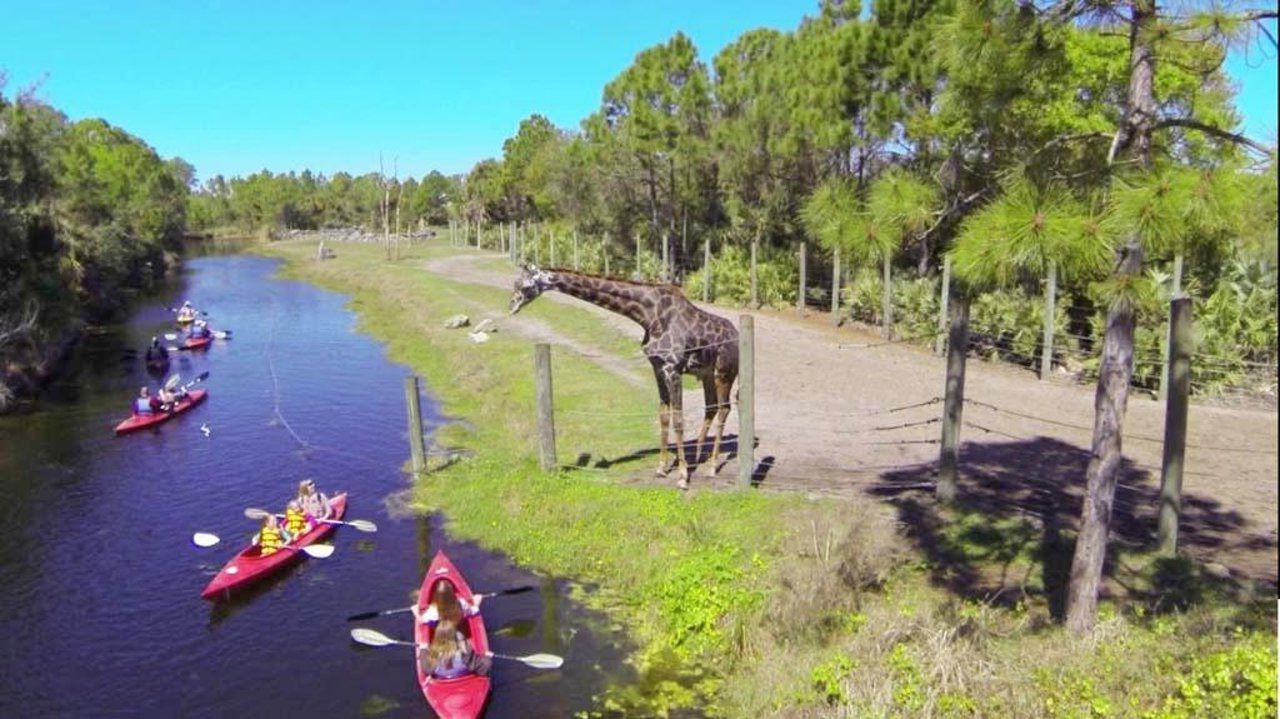 paddle-with-wildlife-at-brevard-zoo