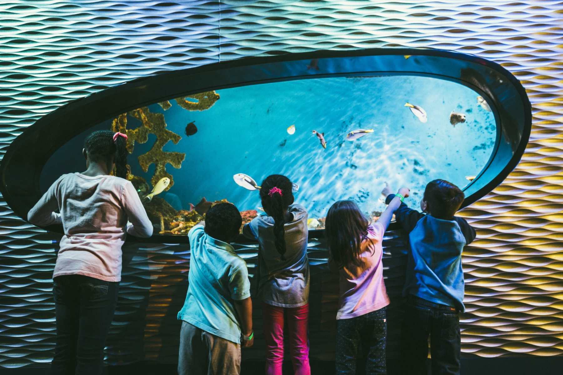 Rainforest-Wonders-At-Discovery-Place-Science rainforest-wonders-at-discovery-place-science