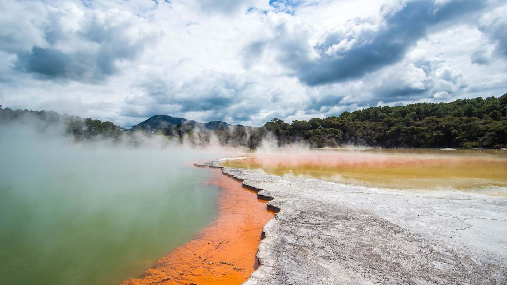 Rotorua8217s-Geothermal-Marvels-Tour rotoruas-geothermal-marvels-tour