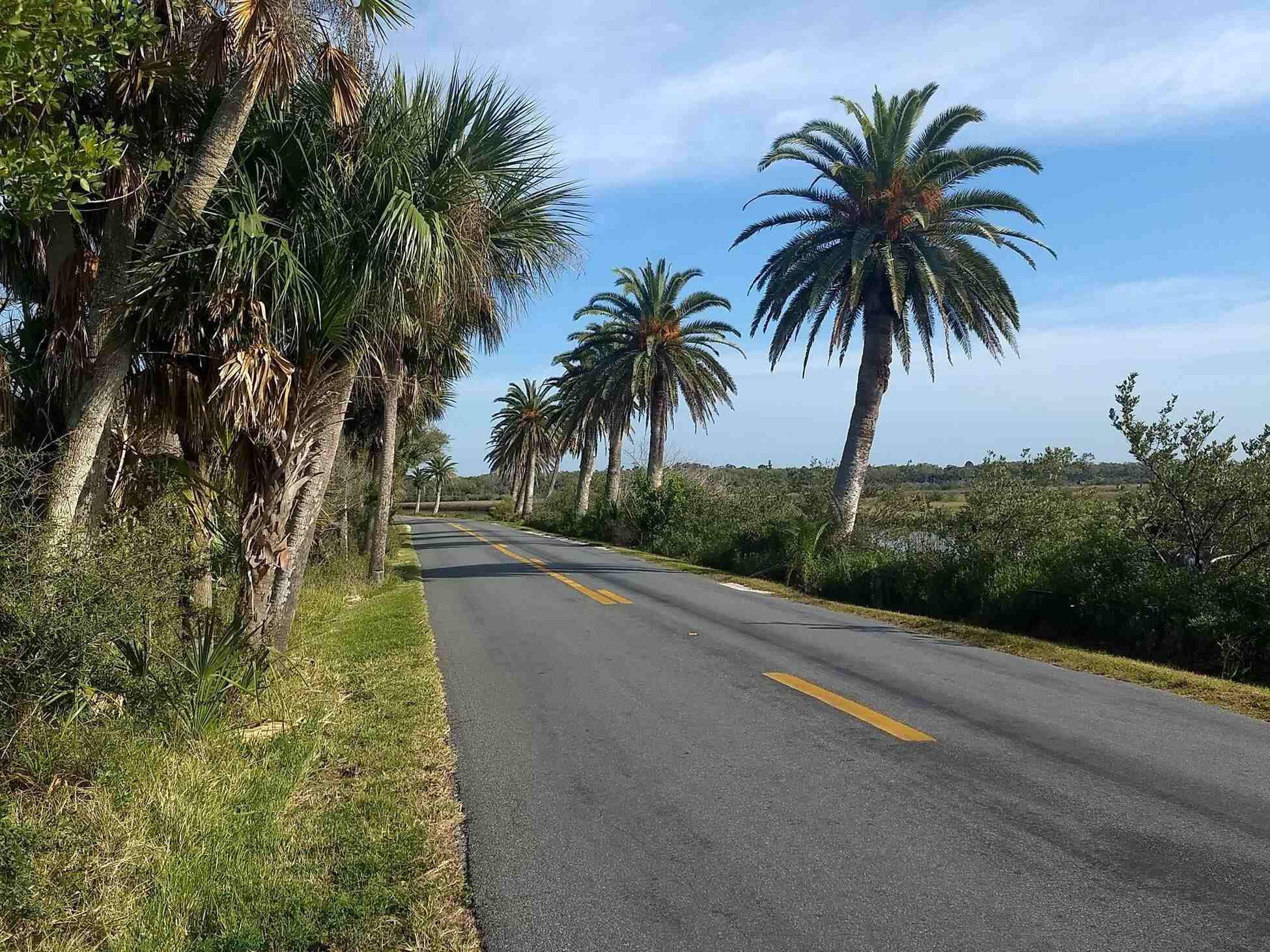 Scenic-Thrills-On-Ormond-Loop8217s-Driving-Adventure scenic-thrills-on-ormond-loops-driving-adventure
