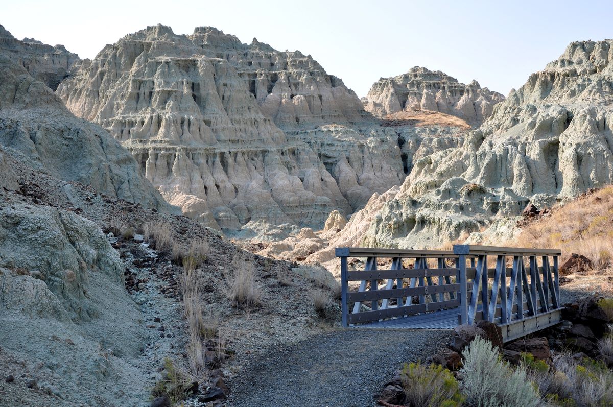 Secret-Fossil-Beds-Of-The-John-Day-Formation secret-fossil-beds-of-the-john-day-formation