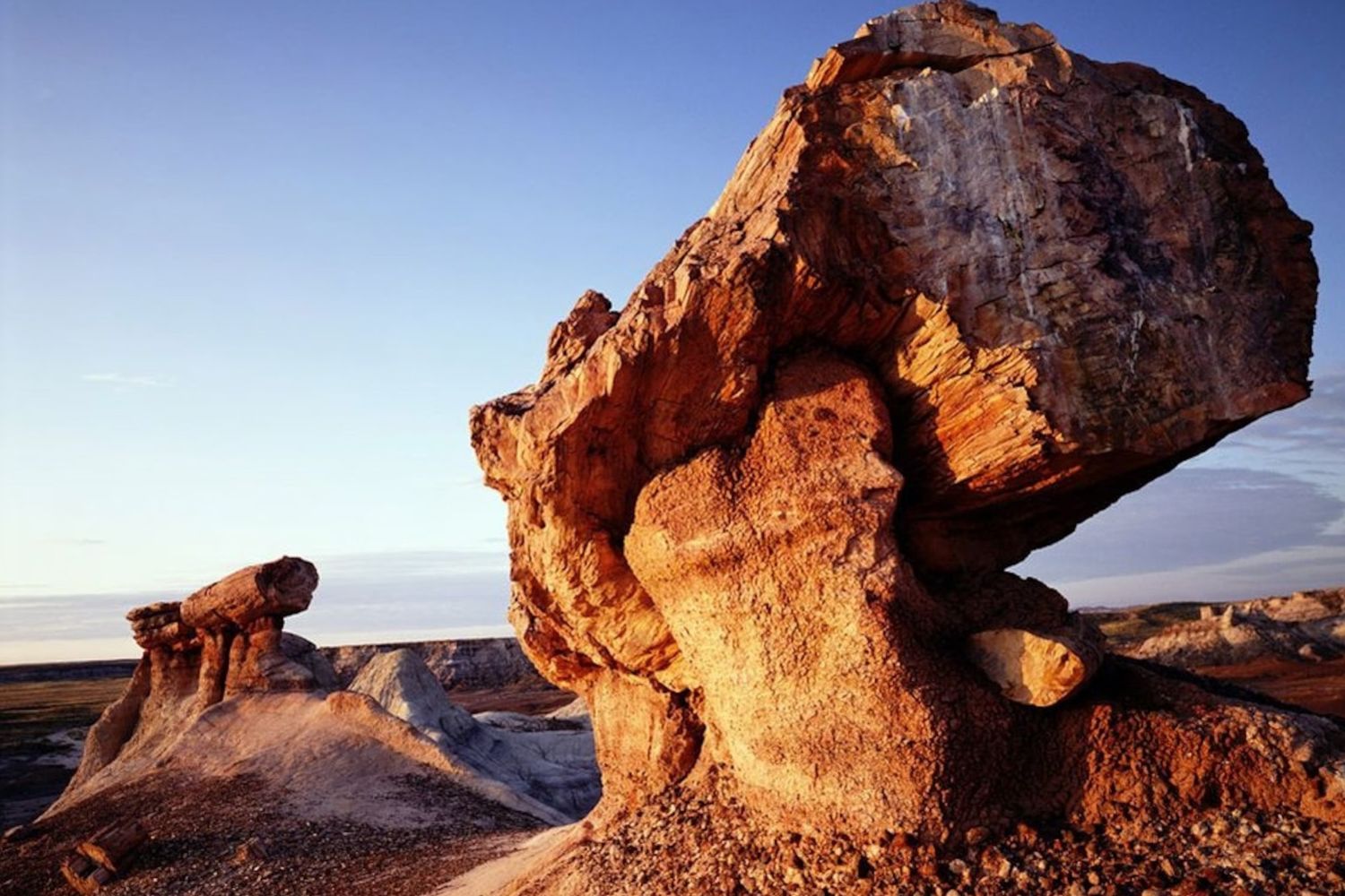 Secret-Fossil-Forests-Of-Petrified-Forest-National-Park secret-fossil-forests-of-petrified-forest-national-park