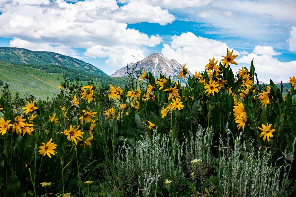 Secret-Hanging-Meadows-In-Crested-Butte-Colorado secret-hanging-meadows-in-crested-butte-colorado