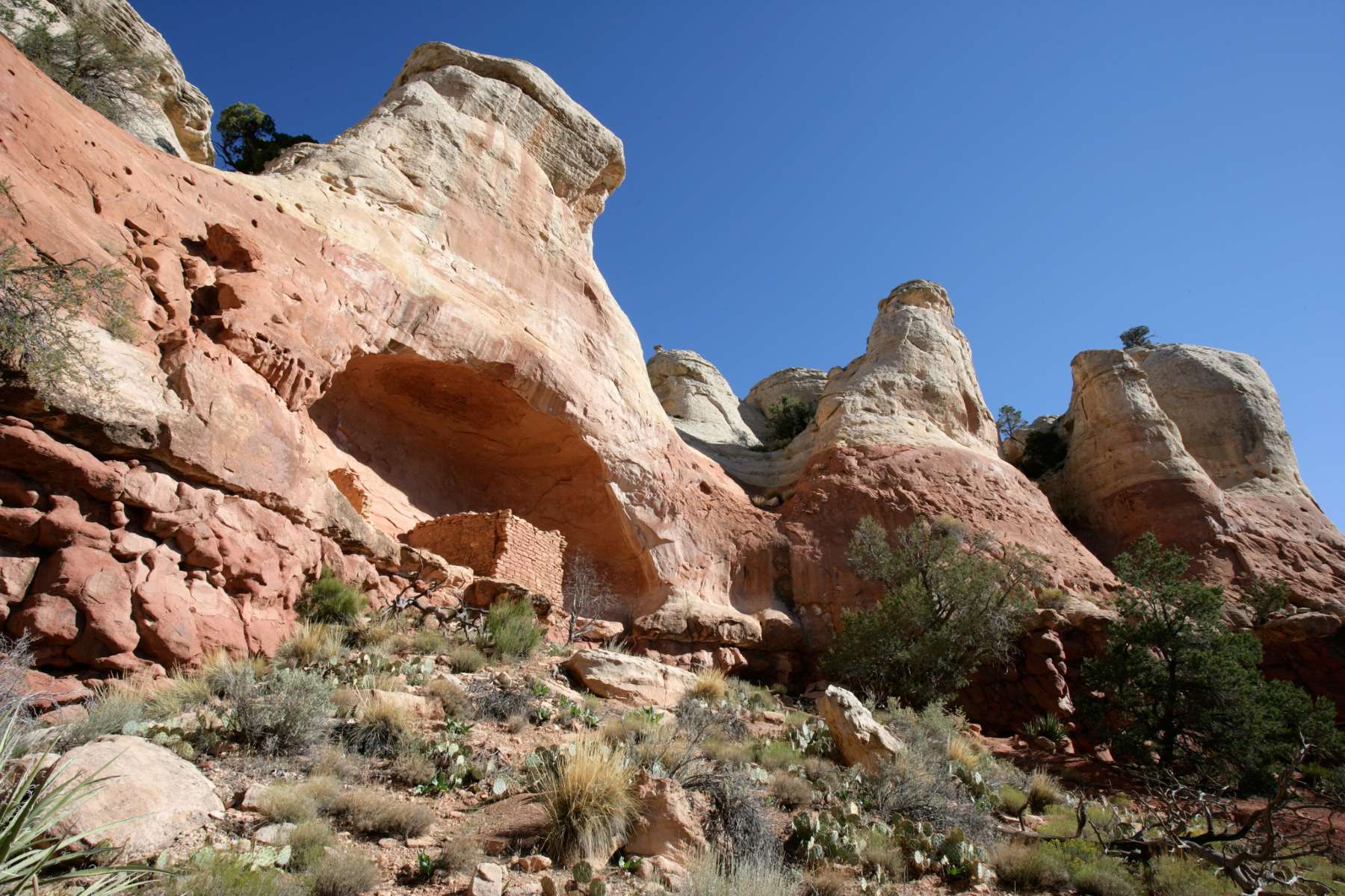 Secret-Hieroglyph-Highway-In-Colorado8217s-Canyon-Of-The-Ancients secret-hieroglyph-highway-in-colorados-canyon-of-the-ancients
